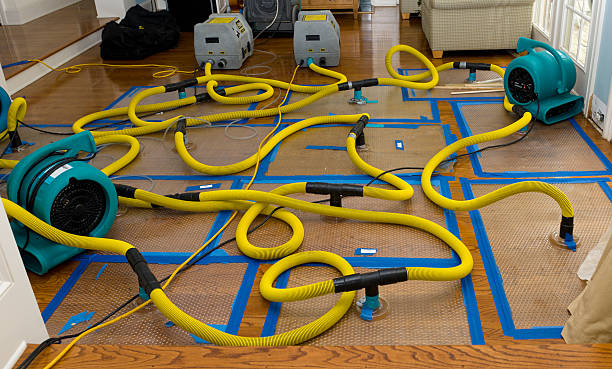 Professional Water Extraction technician working in West Liberty, WV